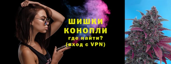 ALPHA PVP Богородицк