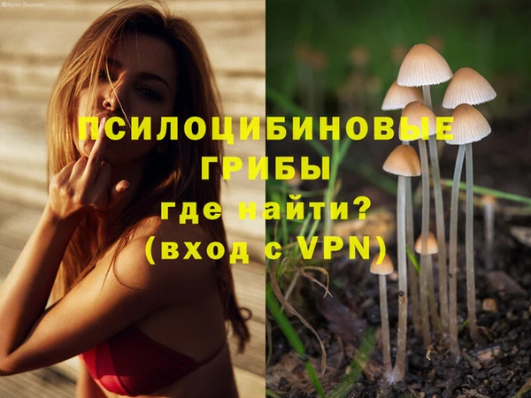 стаф Нягань