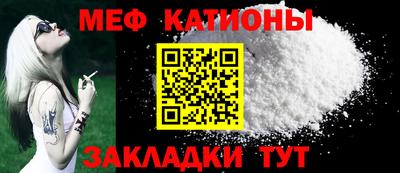 бошки Кингисепп