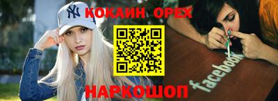 бошки Кингисепп