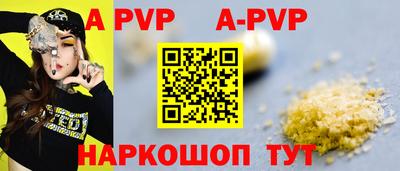 бошки Кингисепп