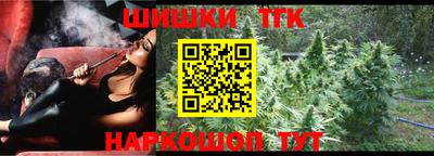 бошки Кингисепп