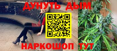 бошки Кингисепп