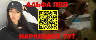 бошки Кингисепп