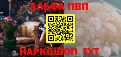бошки Кингисепп