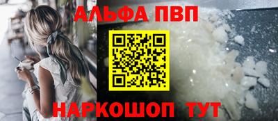 бошки Кингисепп
