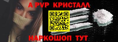 бошки Кингисепп