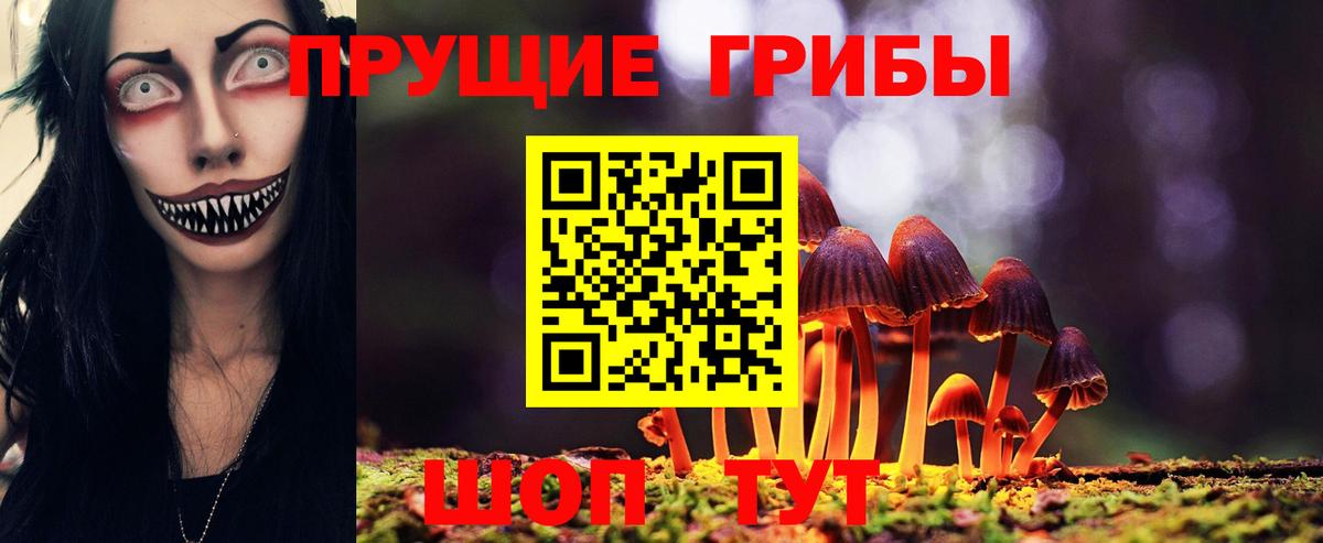 Псилоцибиновые грибы мицелий Югорск