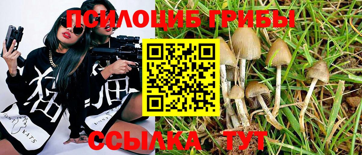 магазин  наркотиков  Югорск  Галлюциногенные грибы мухоморы 